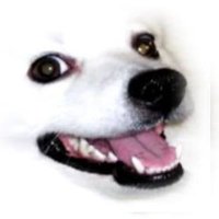 (⁠ ͡⁠°⁠ ͜⁠ʖ⁠ ͡⁠°⁠)