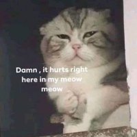 -슈가คือAgustD- ft. สนสนของพ่อพ่อแม่แม่