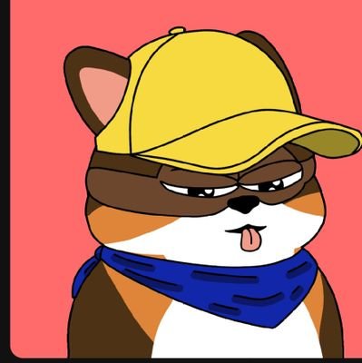 Stoned_Welsh.btc🟧