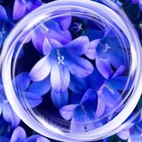 ⭐︎あーちゃん⭐︎💙🐈‍⬛