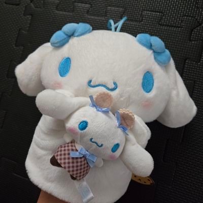 シナかわ(シナモロール可愛い)