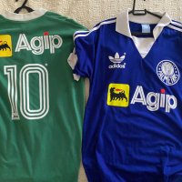 Palmeiras Sempre ⓟ