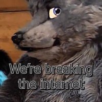 Wolfe Masters 🟦☁️