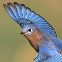 Vor diesem Hintergrund würde mich interessieren💙