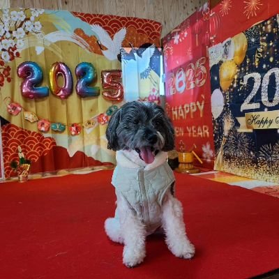 やまとくんChannel