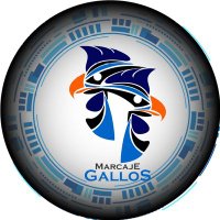 Marcaje Gallos