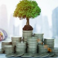 Kendi Halinde Yatırımcı