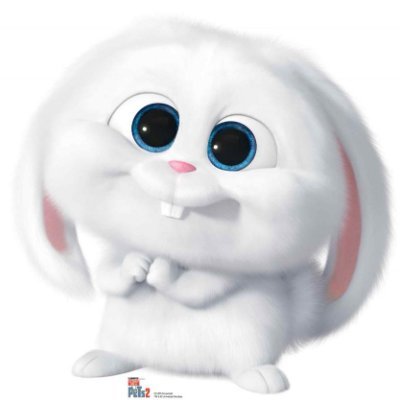 🐦ɱɽ T 🇳🇱🐦