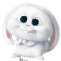 🐦ɱɽ T 🇳🇱🐦