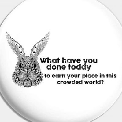 A Crowded World 🌎 Talks™