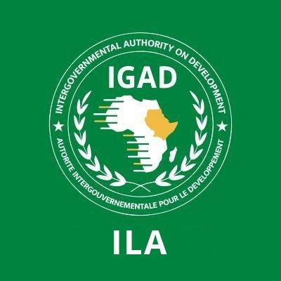 IGAD Leadership Academy (ILA)