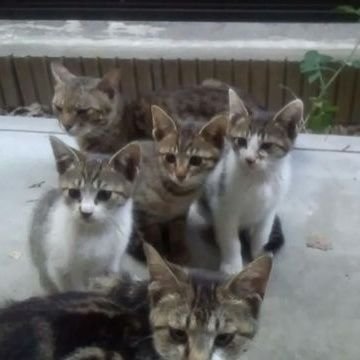 まこと@B'z6/7千葉