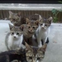 まこと@B'z6/7千葉