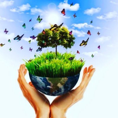 Ana Karina Velásquez Zambrano