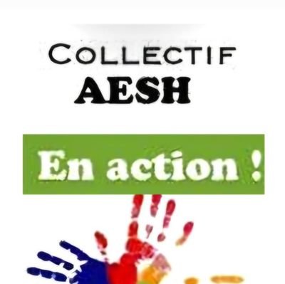 AESH en action