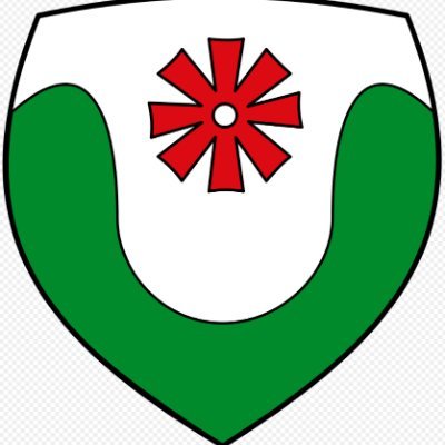 Elektro Gott 🇩🇪