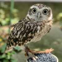 Sisyphus1953 先ずは、#真の市民社会の実現(#ブルジョア革命)から