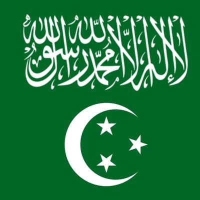 الفاروق (مصرى يشعر بالعار.حتى تحرير الاقصى