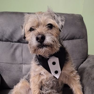 Dee (Mum to Bosie🌈 & Sir Takoda🌈)