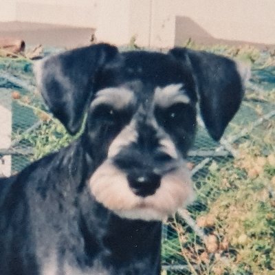 🟠🌸グッドラックん🏉🥌日本はまだ間に合う‼️【日本を取り戻す】【日本を愛する仲間たち】