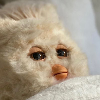 얌얌냠냠냠(º ﹃ º )