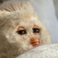 얌얌냠냠냠(º ﹃ º )