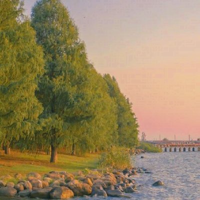 Fernandez Flora ETHGas ⛽️