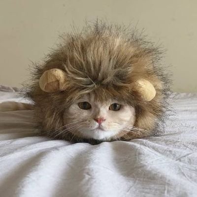 khun🌻🐉💚🌼