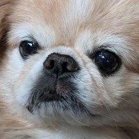 Bhagavad Gita is Truth