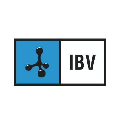 Instituto de Biomecánica (IBV)