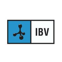 Instituto de Biomecánica (IBV)