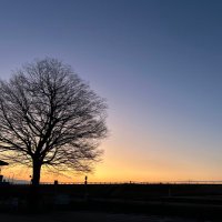 👑ほの(*´꒳`*)👑