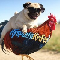 HySPdCHiKnFeeD 🐓🌽🚛