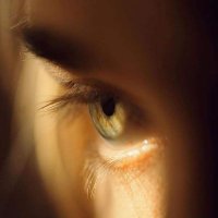 Mine de rien L' Amazone 🐇