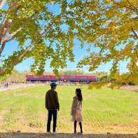 まゆGttT♡記事の📮はRTお願いします🙇‍♂️