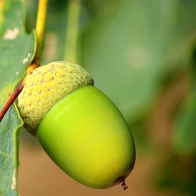 Nappie 🇮🇱 🇳🇱 🎗️