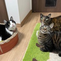 うにほたdays with さくたろう