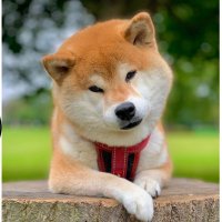 Soleva_Crypto_ Retirement