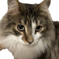 新田マリアMaria.n💫精神看護・訪問看護