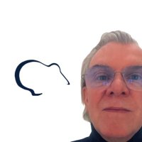 David Morsinkhof🇳🇱⚔️🇳🇿