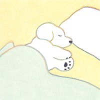 fog cannon mist spray machine