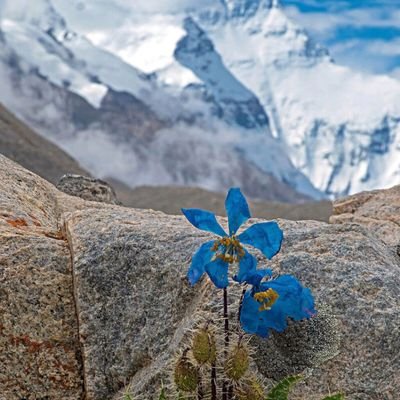 Bluedreamm💧💧💧