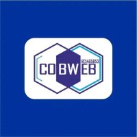 COBWEB LIMITED