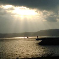 にっしゃん！a.k.a.ミカン・パン好き君