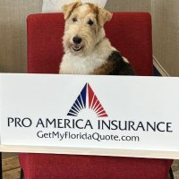Pro America Insurance Agency