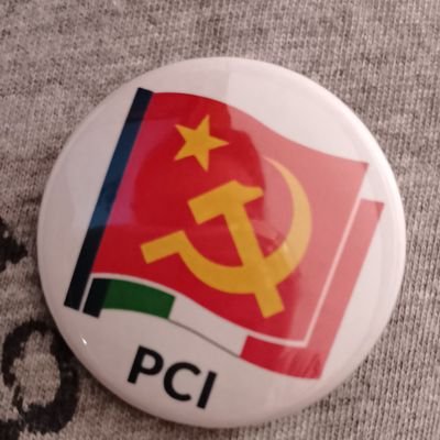 STEFANO Comunista ✊🚩🇮🇹