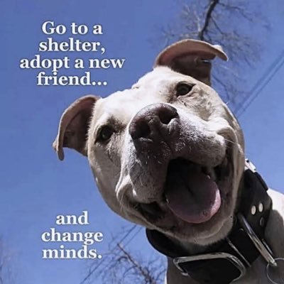 Experts rock - we can do this together! 🌎🐕🐈‍⬛🦅