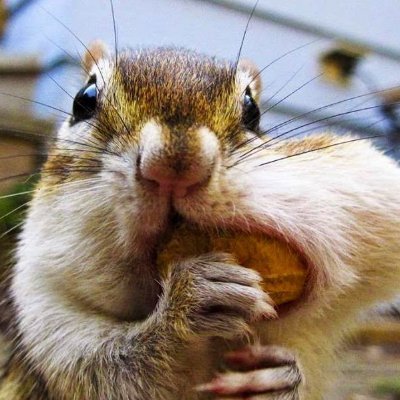 Maciej 🇵🇱 🇪🇺 🇺🇦#JebacPis I Alkoholików