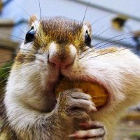 Maciej 🇵🇱 🇪🇺 🇺🇦#JebacPis I Alkoholików