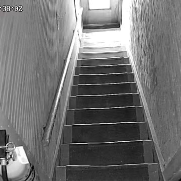 JP WuhanKungFlu 🤺🤺🤜🤛